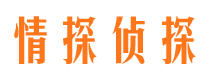 灌南寻人公司